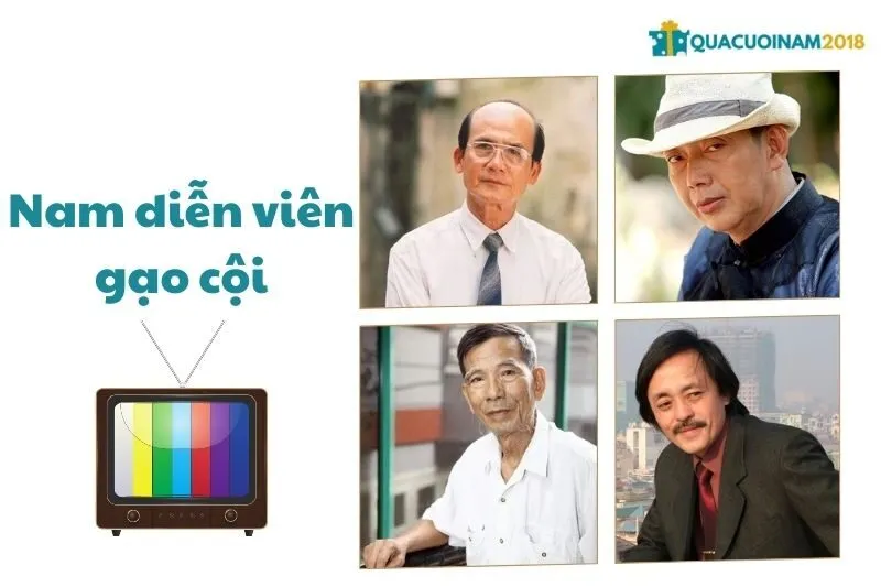 Những nam diễn viên gạo cội Việt Nam và sự nghiệp ấn tượng
