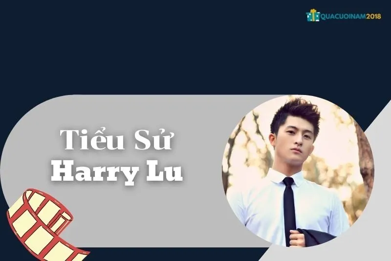 Tiểu sử Harry Lu: Cuộc đời, sự nghiệp và thông tin thú vị